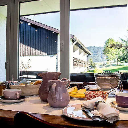 Greenhill 4 - Mit Privatsauna Apartmán Oberstaufen